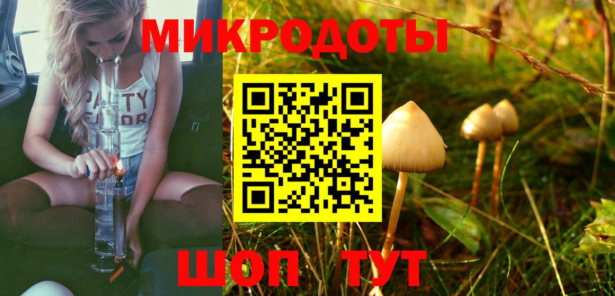 Галлюциногенные грибы MAGIC MUSHROOMS  Вход с VPN  Тара 