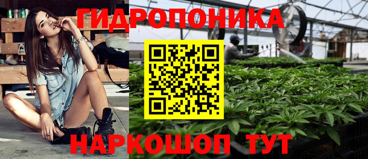 Бошки Шишки Ganja  Марихуана конопля  Вход с VPN  Тара 